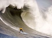 锐不可当引发热议！，德约科维奇在利物浦比赛中锐不可当全场沸腾不已